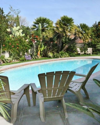 Kidney-shaped swimming pool surrounded by tropical plants, palm trees, and Adirondack chairs on brick patio
