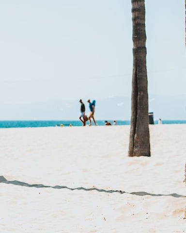 Surfboard leaning against palm tree on sandy beach with ocean and lifeguard tower in background