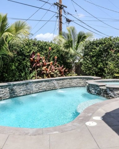 Backyard swimming pool with stone walls, spa, concrete deck, and tropical plants surrounded by hedges