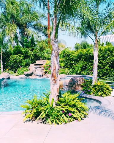 Backyard pool with turquoise water, palm trees, rock waterfall, pergola, and lush tropical landscaping