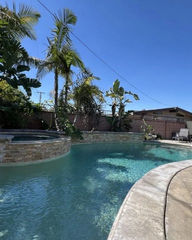 Backyard swimming pool with attached spa, surrounded by palm trees, concrete deck, and brick fence