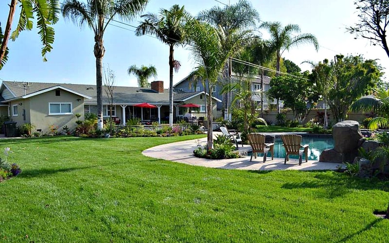 Backyard with pool, lounge chairs, palm trees, and residential homes with red umbrellas